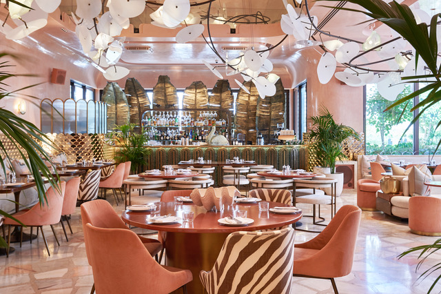 How Tashas became a global lifestyle brand